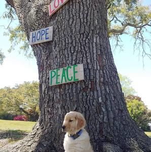 Meet your Posher, Morgan